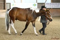 22-APHA HOTC_153